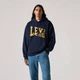 Худі кофта толстовка чоловіча Levi`s Relaxed Graphic Hoodie 384790412 розмір L - зображення 1