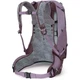 Рюкзак Osprey Sirrus 24 Purple Dusk Uni (100087070) - изображение 2