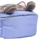 Рюкзак дитячий YES 550443/K-34XS My kitty /550443/ - изображение 9