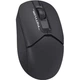 Мышка A4Tech FG12 Black (4711421958912) - изображение 1