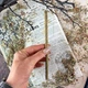 Зеленая свеча с корицей, лавровым листом и гвоздикой - изображение 5