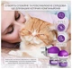 Феромоновий дифузор для заспокоєння котів TopSum Cat Calming Plug-in 2 шт x 48 мл (SKU-017) - изображение 2