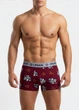 Боксеры мужские хлопковые принтованные Giulia G-MAN PRINT 20401/60 XL Multicolor-burgundy/bulldog print, анатомический крой - изображение 2