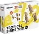 Картонный конструктор Cartonic 3D Puzzle TROPICAL BIRDS TRIO (CARTTRIOBIRDS) - изображение 2