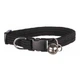 Нашийник для котів Trixie Elastic з дзвіночком нейлоновий - зображення 3