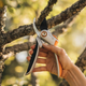 Площинний секатор суцільнометалевий Fiskars Plus P531 (1057168) - зображення 6