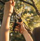 Площинний секатор Fiskars Plus ™ P721 (1057170) - изображение 5