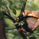 Площинний секатор Fiskars Plus ™ P721 (1057170) - изображение 6