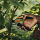 Площинний секатор суцільнометалевий Fiskars Solid ™ P331 (1057163) - изображение 5
