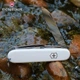 Швейцарский нож Victorinox Spartan Белый (1.3603.7) - изображение 4