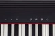 Сценическое фортепиано Roland GO:PIANO (RO-2307) - изображение 13