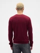Пуловер мужской Gap 796957254 XL Бордовый (1159865041) - изображение 2
