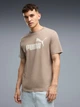Футболка хлопковая длинная мужская Puma Essentials Foundation 68253394 S Mouse Gray (4070033345573) - изображение 1