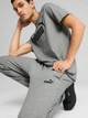 Спортивные штаны утеплённые мужские Puma Essentials Foundation 68264203 S Medium Gray Heather (4067983594144) - изображение 5