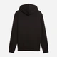Худи утеплённое мужское Puma Essentials Foundation 69291401 2XL Black (4069161992834) - изображение 5