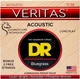 Струны для акустических гитар DR Strings Veritas VTA-12/56 Acoustic Bluegrass 12-56 6 шт (40788) - изображение 1