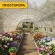 Садова теплиця парник LEOBRO Garden 18м2 White (LB-G105-WHT) (LEO_LB-G105-WHT) - изображение 8
