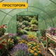 Посилена садова теплиця парник LEOBRO Garden 18м2 Green (LB-G107-GRN) (LEO_LB-G107-GRN) - зображення 8