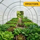 Посилена садова теплиця парник LEOBRO Garden 18м2 White (LB-18M25W) (LEO_LB-18M25W) - зображення 9