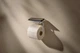 Держатель для туалетной бумаги HANSGROHE AddStoris баланс металл хром 41789000 - изображение 6