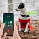 GPS-трекер V53 Pet Tracker, Белый - 605725 - изображение 4