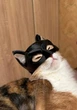 Маска Бэтмена для кота или собаки шлем Batman | Беткот - изображение 2