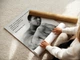 Постер Мохаммед Али про риск, Muhammad Ali, мотивация, бокс, A3 42×28 см (id4563) - изображение 3