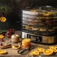 Сушарка для овочів і фруктів Rommelsbacher DA 350 (4001797468000) - зображення 6