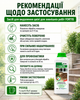 Засіб для видалення цвілі для зовнішніх робіт 1л Fortis - зображення 3