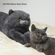 Подушка декоративна tbh Lazy Blue Cat з принтом 22х115 см Blue - зображення 2