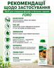Средство для удаления высолов, смывка высолов 1л Foro - изображение 3