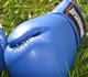 Боксерські рукавиці PowerPlay 3004 Classic сині 12 унцій (PP_3004_12oz_Blue) - изображение 8
