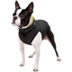 Двусторонняя курточка для собак AiryVest жёлто-чёрная, XS22 (1537) - изображение 3