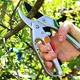 Секатор садовый Gruntek Kondor - 359018 - изображение 6
