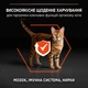 Сухий корм для дорослих котів Purina Pro Plan Adult 1+ Vital Functions з лососем 10 кг - изображение 4
