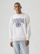 Свитшот на флисе мужской Levi`s 551906178 XL Белый/Серый (1159882434) - изображение 1