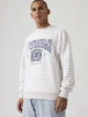 Свитшот на флисе мужской Levi`s 551906178 XL Белый/Серый (1159882434) - изображение 3