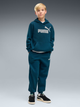 Детское худи для мальчика Puma Essentials No.1 Logo 68490836 134-140 см Midnight Petrol (4070033474037) - изображение 3