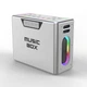 Акустическая система HiFuture MusicBox 100W Silver (musicbox.silver) - изображение 1
