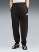 Детские спортивные штаны для мальчиков Puma Essentials Logo Lab 69467501 134-140 см Black (4070033375167) - изображение 1