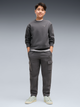Подростковый спортивный костюм (свитшот + штаны) для мальчика Puma Essentials Elevated 69521834 170-176 см Moody Gray (4070033470978) - изображение 1