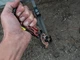 Мультитул Leatherman Signal Crimson кресало свисток точило ніж пила для походов - изображение 7