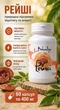 Рейші Ganoderma lucidum 400 мг Bekandze — при частих застудах тривалому відновленні після хвороби хронічній втомі та бажанні зміцнити імунітет — природна підтримка імунітету відновлення та тонусу організму 60 капсул - зображення 1