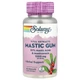 Мастиковая смола Solaray Mastic Gum, 45 вегакапсул - изображение 1