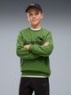Детский спортивный костюм (свитшот + штаны) для мальчика Puma Essentials No.1 Logo 68972169 122-128 см Earthy Green (4070033471036) - изображение 3
