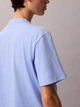 Футболка хлопковая женская Calvin Klein 403603766 L Голубая (1159931911) - изображение 6