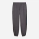Спортивные штаны утеплённые мужские Puma Sport Street 69431934 S Moody Gray (4070033384930) - изображение 5