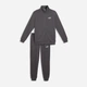 Спортивный костюм мужской утеплённый Puma Essentials 68817534 2XL Moody Gray (4070033459553) - изображение 4