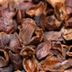 Каскара 500 г. Коста Ріка чай із кавових ягід Cascara TT - зображення 3