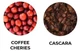 Каскара 500 г. Коста Ріка чай із кавових ягід Cascara TT - зображення 8